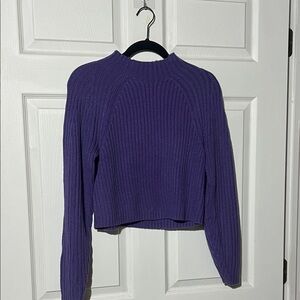 H&M Purple Ribbed Sweater